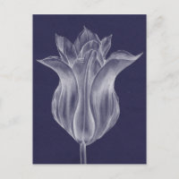 Tulipe monochrome III