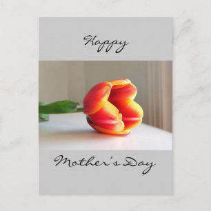 Carte Postale Tulipe orange