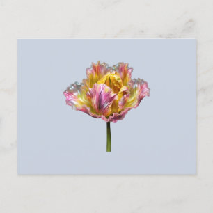 Carte Postale Tulipe plissée holographique iridescente