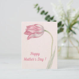 Carte Postale Tulipe rose et blanche - Fête des mères aux beaux-