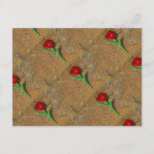 Carte Postale Tulipe rouge et jaune