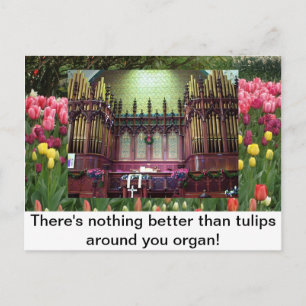 Carte Postale Tulipes