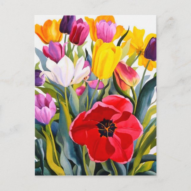 Carte Postale Tulipes 2007 (Devant)