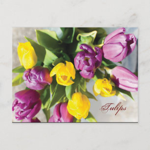 Carte Postale Tulipes au printemps