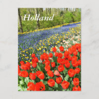 Tulipes dans les bois