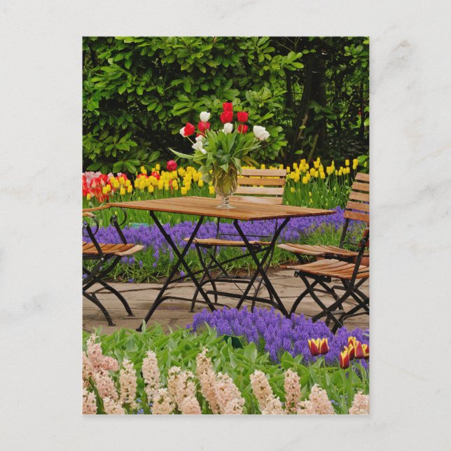 Carte Postale Tulipes de table dans le jardin, Jardins de Keuken (Devant)