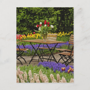 Carte Postale Tulipes de table dans le jardin, Jardins de Keuken