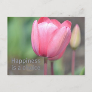 Carte Postale Tulipes du bonheur