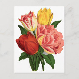 Carte Postale tulipes fleurs vigne vintage belles fleurs