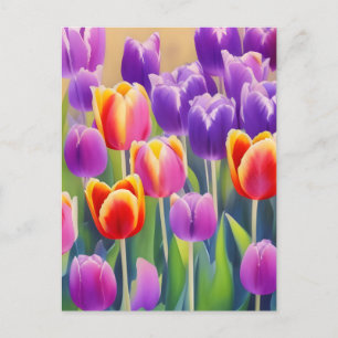 Carte postale Tulipes Printemps