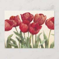 Tulipes rouges
