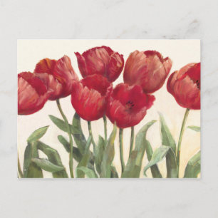 Carte Postale Tulipes rouges