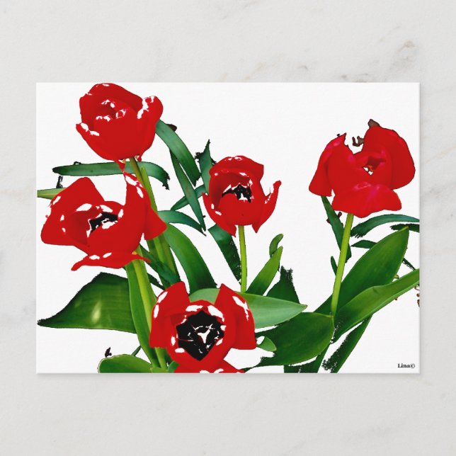 Carte Postale Tulipes rouges brillantes (Devant)