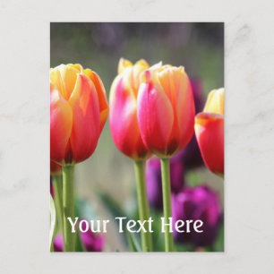 Carte Postale Tulipes tombées flammes