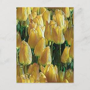 Carte Postale Tulips Sunshine Yellow
