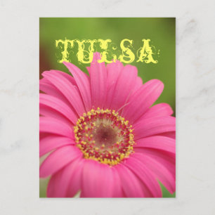 Carte Postale "Tulsa" Pink Gerbera Daisy Postcard