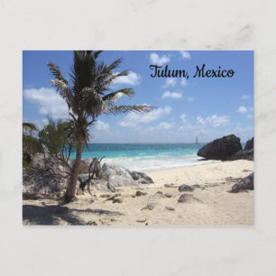 Carte Postale Tulum, Mexique - Plage - Palmiers