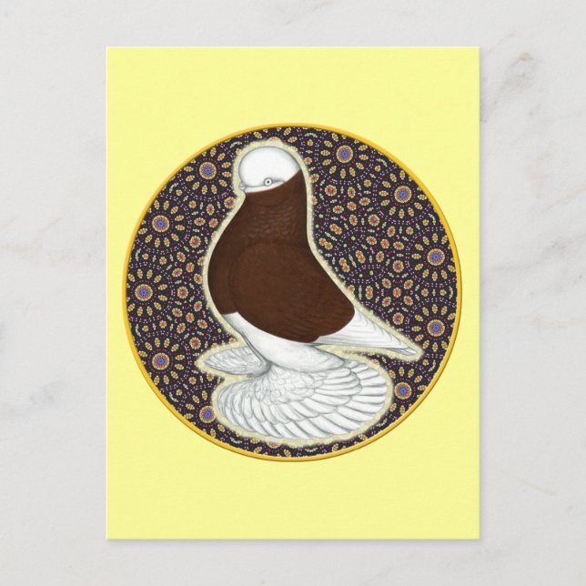 Carte Postale Tumbler Pigeon Circle (Devant)
