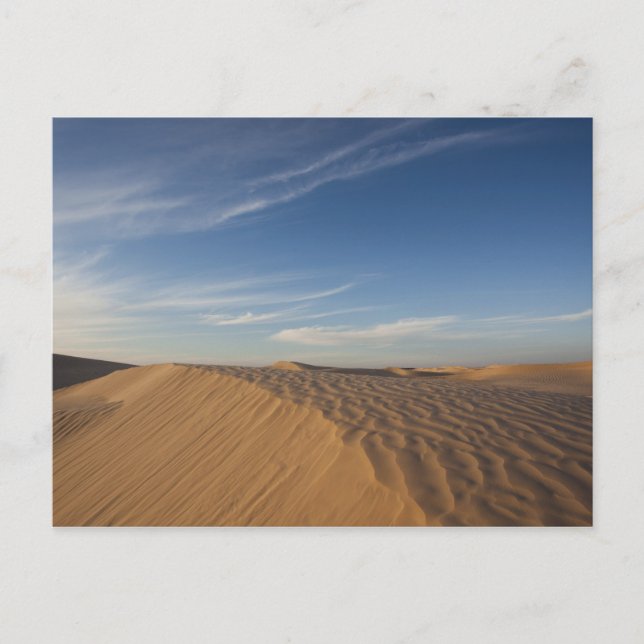Carte Postale Tunisie, désert du Sahara, Douz, Grande Dune, crép (Devant)