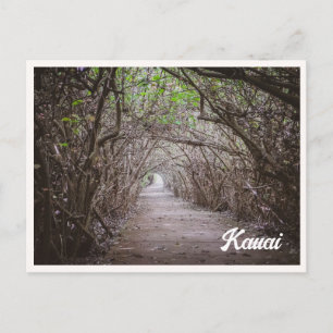 Carte Postale Tunnel d'arbres Kauai Kaapa Photo