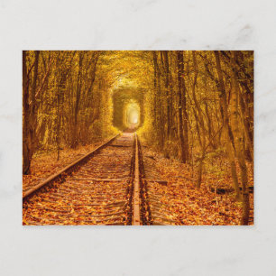 Carte Postale Tunnel ferroviaire de la forêt d'Ukraine Amour Pay