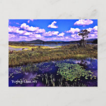 Carte postale - Tupper Lake NY