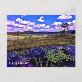Carte postale - Tupper Lake NY