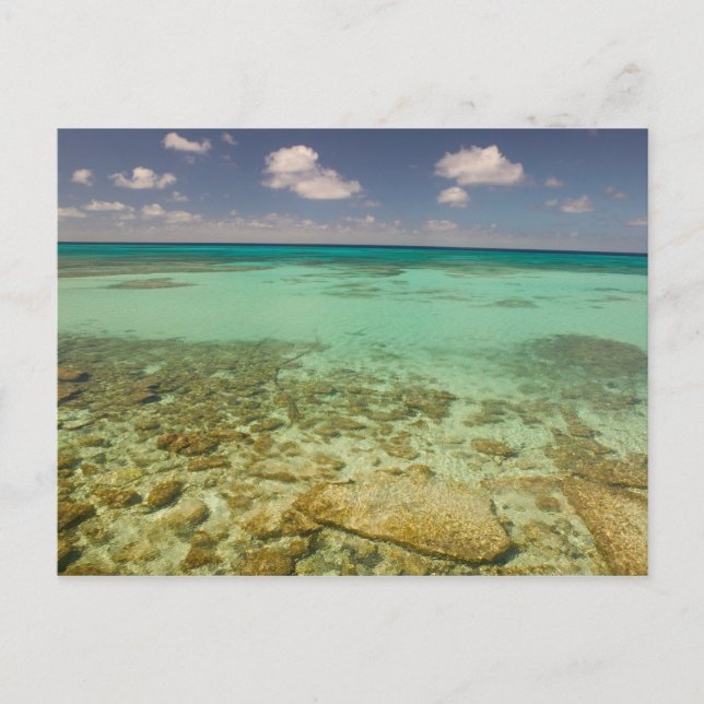 Carte Postale Turks and Caicos, Grand Turk Island, Cockburn 2 (Devant)