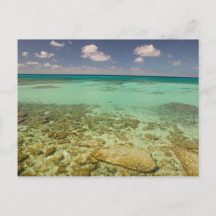 Carte Postale Turks et Caïcos, Grand Turk Island, Cockburn 2