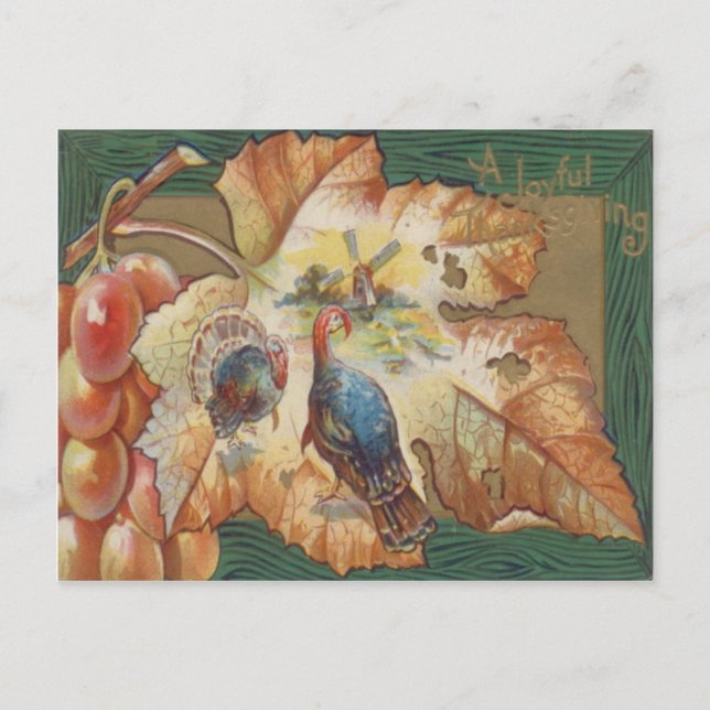 Carte Postale Turquie Raisins de moulin à vent feuille d'automne (Devant)