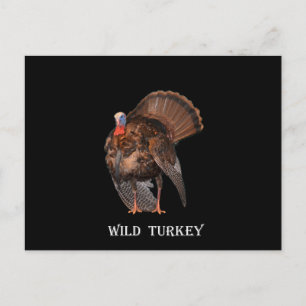 Carte Postale Turquie sauvage (Alabama, Massachusetts, Oklahoma)