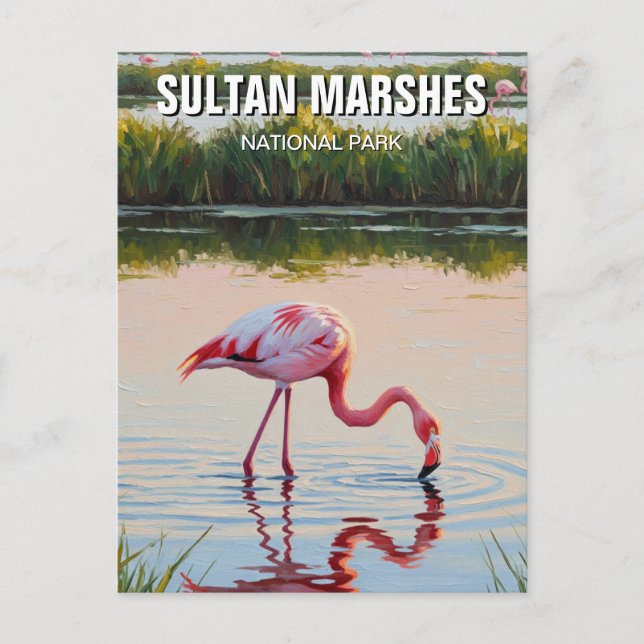 Carte Postale Turquie Sultan Marshes Parc national Voyage (Devant)