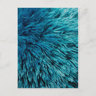 Carte Postale Turquoise riche