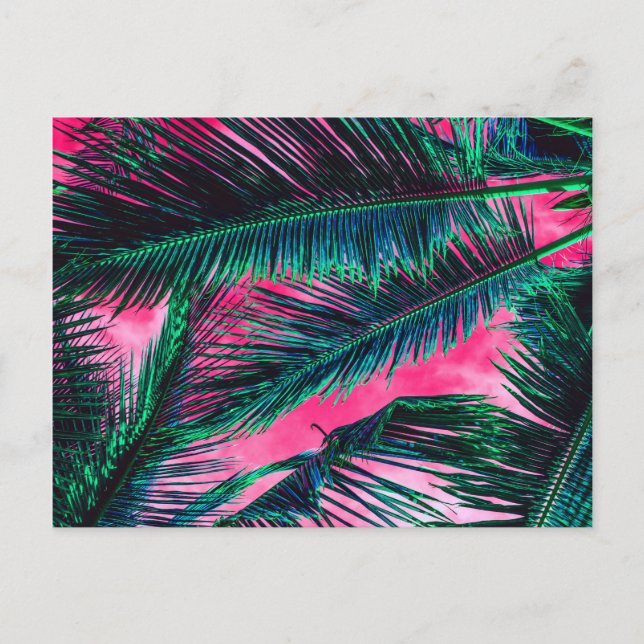 Carte Postale Turquoise rose Tropical Summer Palm Tree Fronds (Devant)