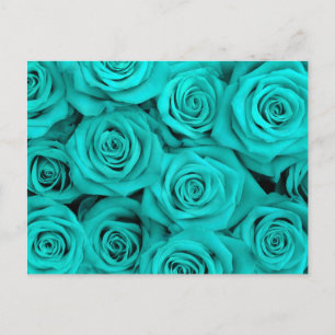Carte Postale Turquoise Spectaculaire Roses
