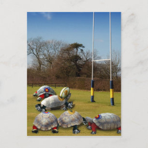 Carte Postale Turtle Rugby