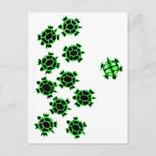 Carte Postale Turtles
