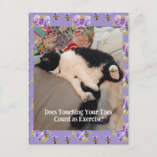 Carte Postale Tuxedo Chat Cute Joyeux Anniversaire Touch Toes Ca
