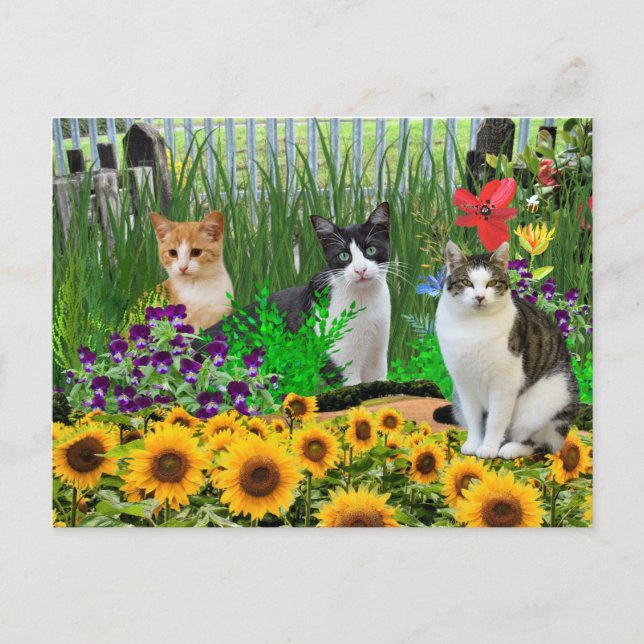 Carte Postale Tuxedo Chat en Jardin Fleur / Collage Art (Devant)