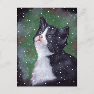 Carte Postale Tuxedo Chat Regardant Vers Le Haut Des Flammes De 