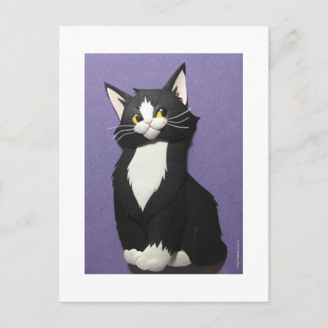 Carte postale Tuxedo Kitten (Devant)