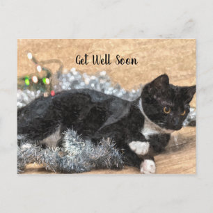 Carte Postale Tuxedo Kitten Tinsel et les lumières se portent bi