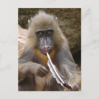 Carte Postale Tuyau de paix