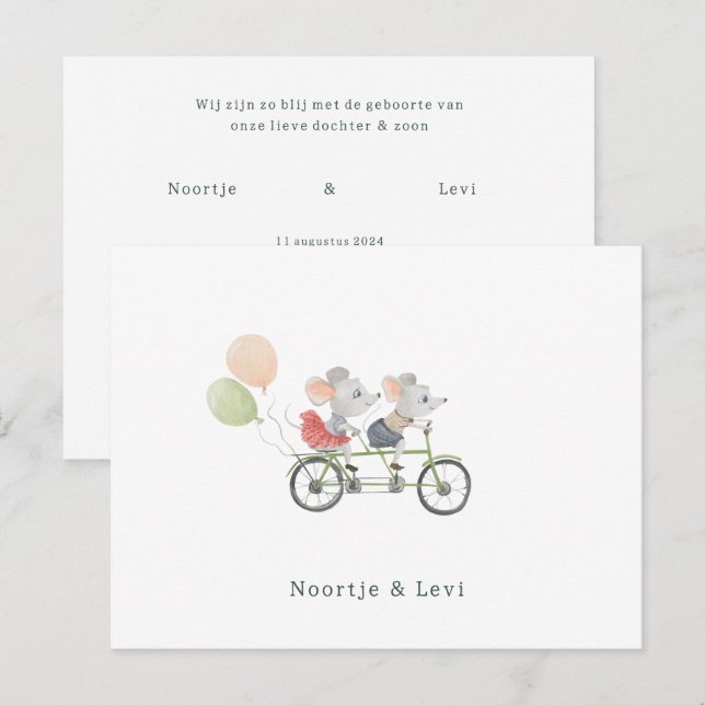 Carte Postale Tweeling Baby Naissance Apot de la Meilleure Muiss (Devant / Derrière)
