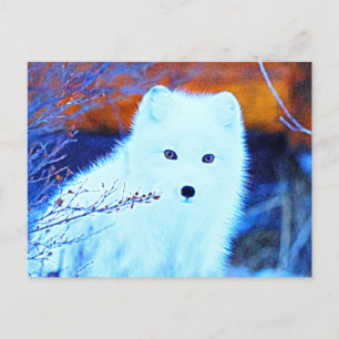 Carte Postale *~* Twigs AP18 Renard neigeux renard blanc polaire