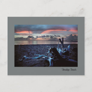 Carte Postale Twilight des Caraïbes