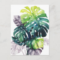 Twilight Palms - Feuille Fendue