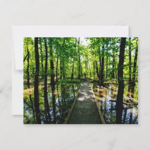 Carte Postale Twin Swamps Nature Preserve, Posey County, Indiana