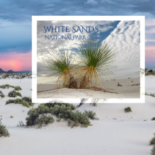 Carte Postale Twin Yuccas, Parc national des Sables Blancs