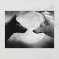 Two wolves facing each other
